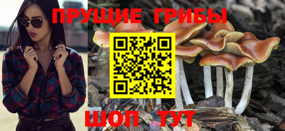 Марихуана  Экстази  МЕФ кристаллы  ГАШИШ  Луга  Кокаин  Вход с VPN 
