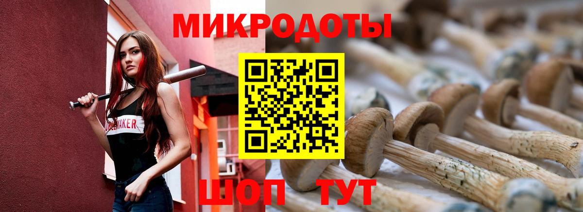 Псилоцибиновые грибы Magic Shrooms Луга