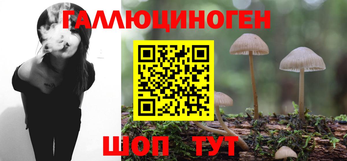 Псилоцибиновые грибы Magic Shrooms  Вход с VPN  Галлюциногенные грибы прущие грибы  Луга 